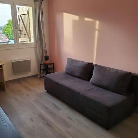 Appartement Moderne Et Equipe LʼIsle-Jourdain Екстериор снимка