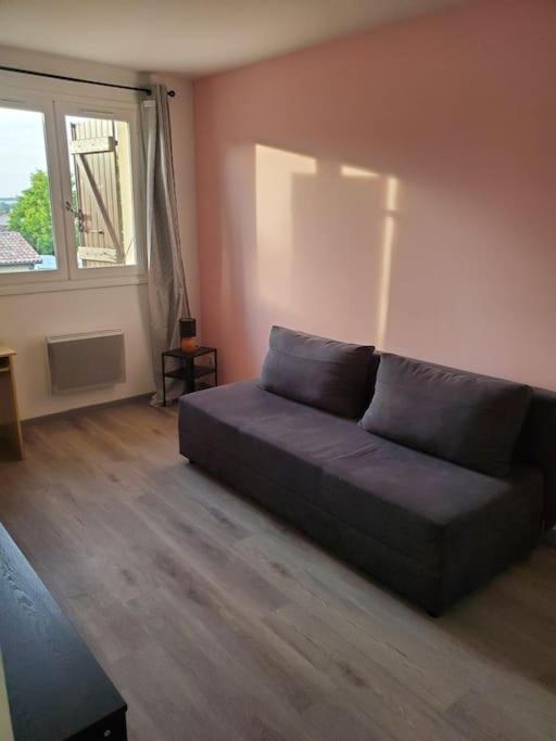 Appartement Moderne Et Equipe LʼIsle-Jourdain Екстериор снимка